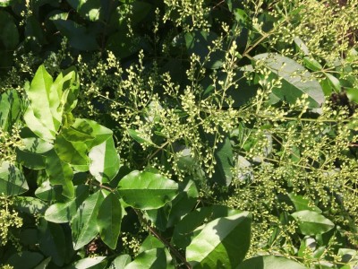 image.jpeg (182.11 KiB) Osservato 648 volte image.jpeg