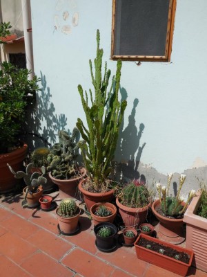 DSCN0011.JPG (114.06 KiB) Osservato 595 volte DSCN0011.JPG