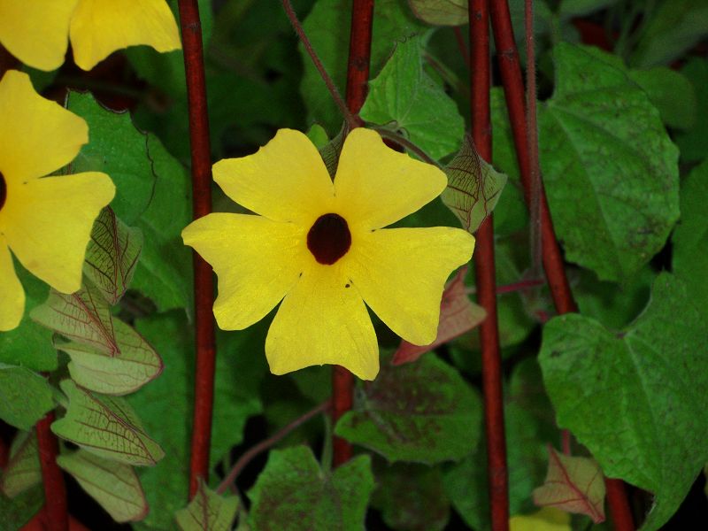 P8062907-i.jpg P8062907-i.jpg