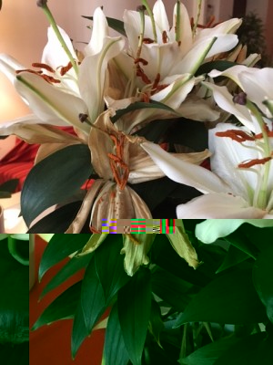 IMG_9933.JPG (127.33 KiB) Osservato 1968 volte IMG_9933.JPG