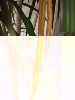 WhatsApp Image 2018-01-30 at 18.49.15 (1).jpeg (119.3 KiB) Osservato 549 volte WhatsApp Image 2018-01-30 at 18.49.15 (1).jpeg