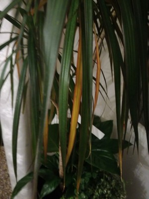 WhatsApp Image 2018-01-30 at 18.49.16.jpeg (116.09 KiB) Osservato 549 volte WhatsApp Image 2018-01-30 at 18.49.16.jpeg