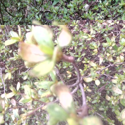 image.jpeg (185.22 KiB) Osservato 784 volte image.jpeg