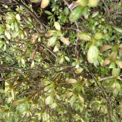 image.jpeg (195.14 KiB) Osservato 759 volte image.jpeg