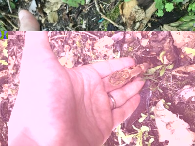 662CB388-23B0-455E-81A4-80BF017057D4.jpeg (115.58 KiB) Osservato 708 volte 662CB388-23B0-455E-81A4-80BF017057D4.jpeg