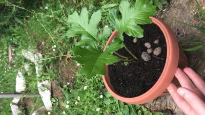 Ignoto / DD81FB71-D6CB-4437-8468-89D465FDDAD0.jpeg DD81FB71-D6CB-4437-8468-89D465FDDAD0.jpeg