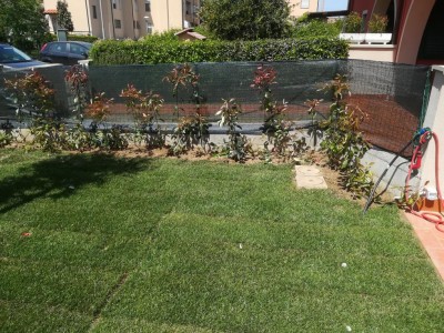 IMG_20180426_131029.jpg (231.61 KiB) Osservato 588 volte IMG_20180426_131029.jpg