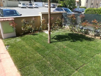 IMG_20180426_131025.jpg (226.95 KiB) Osservato 660 volte IMG_20180426_131025.jpg