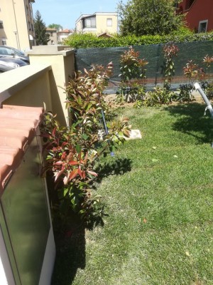 IMG_20180426_131036.jpg (204.65 KiB) Osservato 588 volte IMG_20180426_131036.jpg