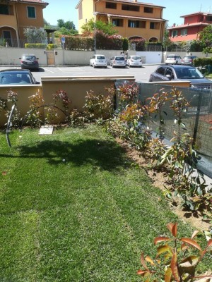 IMG_20180426_131045.jpg (234.43 KiB) Osservato 660 volte IMG_20180426_131045.jpg