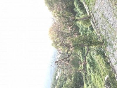 IMG_2770.JPG (129.96 KiB) Osservato 591 volte IMG_2770.JPG