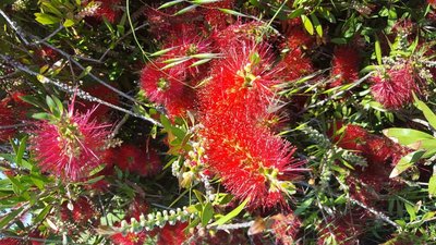 image-2edcfd7b-05ea-4383-b1a4-11fd80714c99955888106.jpg (168.21 KiB) Osservato 472 volte image-2edcfd7b-05ea-4383-b1a4-11fd80714c99955888106.jpg