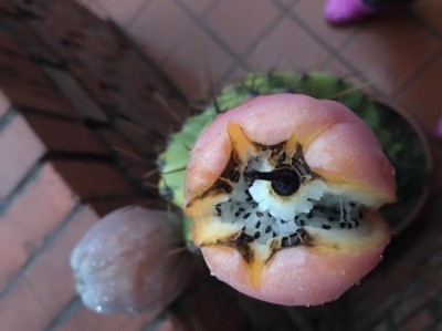 02BF4AED-B91F-463F-A684-28B5E04B562C.jpeg (49.13 KiB) Osservato 652 volte 02BF4AED-B91F-463F-A684-28B5E04B562C.jpeg