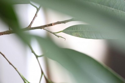 1Q9A6630.JPG (38.66 KiB) Osservato 488 volte 1Q9A6630.JPG