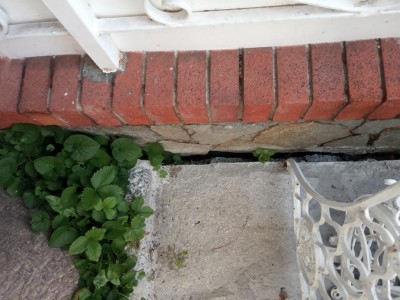 Dettaglio muretto staccato dalla radici / IMG_20200417_065603.jpg IMG_20200417_065603.jpg