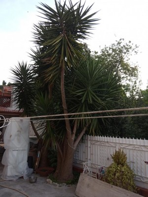 Quello che vedete sulla sinistra è un frigo alto 1,8 metri. / IMG_20200417_065611.jpg IMG_20200417_065611.jpg