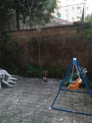 Su quel muro ripulito dovrebbe arrampicarsi qualcosa... / IMG_20201111_164301_1.jpg IMG_20201111_164301_1.jpg