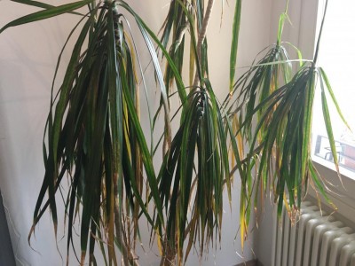 2021-04-26 12.06.47.jpg (113.3 KiB) Osservato 2636 volte 2021-04-26 12.06.47.jpg