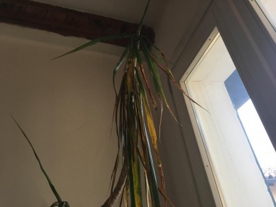 2021-04-26 12.06.44.jpg (49.52 KiB) Osservato 2636 volte 2021-04-26 12.06.44.jpg