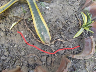 IMG_20210522_234704.jpg (166.45 KiB) Osservato 578 volte IMG_20210522_234704.jpg