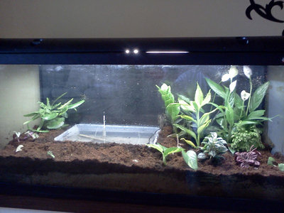 22222r.jpg (107.1 KiB) Osservato 835 volte 22222r.jpg