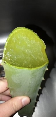 272929484_4992703457453019_8736069918778285130_n.jpg (40.98 KiB) Osservato 668 volte 272929484_4992703457453019_8736069918778285130_n.jpg