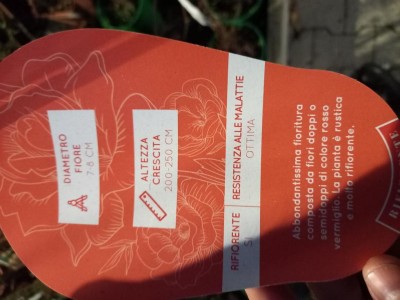 20221105_173827.jpg (75.16 KiB) Osservato 1089 volte 20221105_173827.jpg