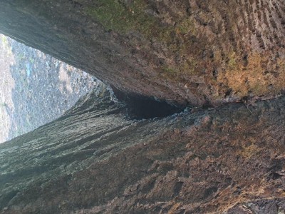 20240806_115355.jpg (174.58 KiB) Osservato 2209 volte 20240806_115355.jpg