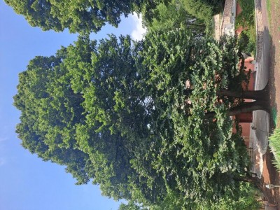 20240806_115421.jpg (204.94 KiB) Osservato 2209 volte 20240806_115421.jpg