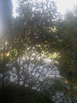 Immagine WhatsApp 2025-02-17 ore 10.28.15_958f15a3.jpg (96.57 KiB) Osservato 934 volte Immagine WhatsApp 2025-02-17 ore 10.28.15_958f15a3.jpg