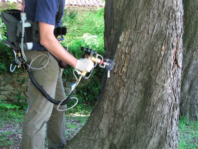 Arborjet.jpg (96.56 KiB) Osservato 1130 volte Arborjet.jpg