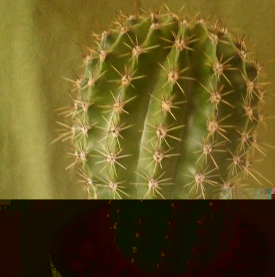 Bo 1_apr.11.JPG (100.59 KiB) Osservato 1388 volte Bo 1_apr.11.JPG