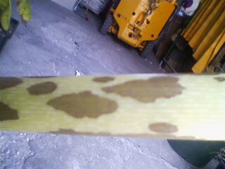 IMG190-01.jpg IMG190-01.jpg