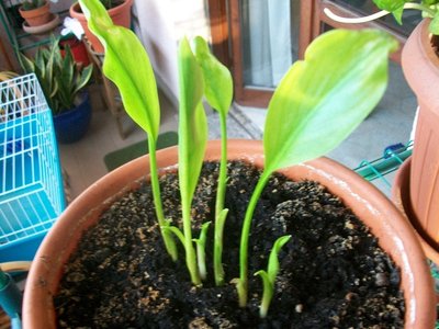 grazie a tutti e alla prossima. francesco / 100_4294.JPG 100_4294.JPG