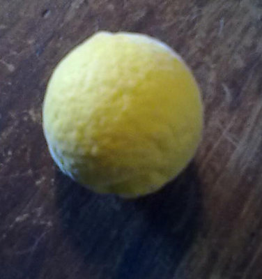 30092011781.jpg (64.64 KiB) Osservato 594 volte 30092011781.jpg