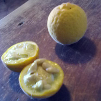 30092011784.jpg (140.13 KiB) Osservato 594 volte 30092011784.jpg