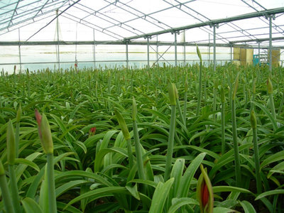 gimp serrag286.JPG (152.43 KiB) Osservato 1032 volte gimp serrag286.JPG