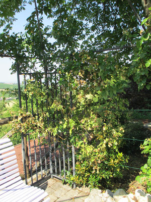 IMG_0416 web.jpg (272.72 KiB) Osservato 570 volte IMG_0416 web.jpg