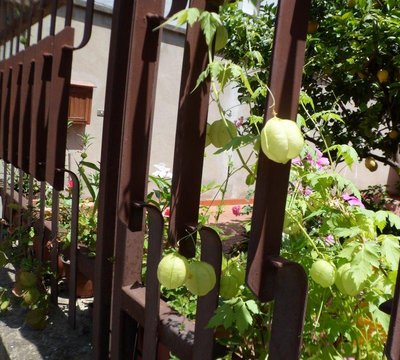 fiore.jpg (125.76 KiB) Osservato 877 volte fiore.jpg