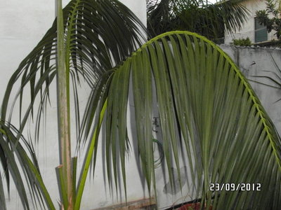 SAM_0440.Rid.JPG (183.71 KiB) Osservato 574 volte SAM_0440.Rid.JPG