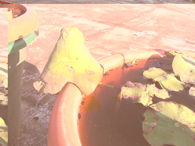 SANY0004.JPG (100.63 KiB) Osservato 592 volte SANY0004.JPG