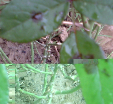 Untitled 2.jpg Untitled 2.jpg