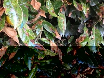 image.jpg (110.96 KiB) Osservato 649 volte image.jpg