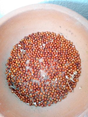 IMG_20130609_110517semi.jpg (188.96 KiB) Osservato 449 volte IMG_20130609_110517semi.jpg