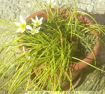 2013-08-21-1357.JPG 2013-08-21-1357.JPG