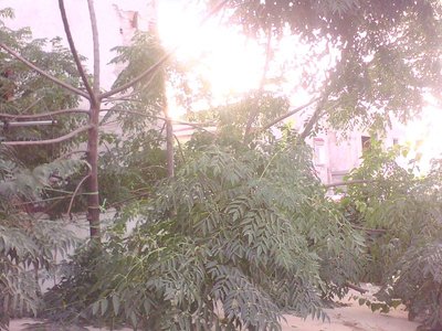 IMG0068B.jpg (125.66 KiB) Osservato 642 volte IMG0068B.jpg