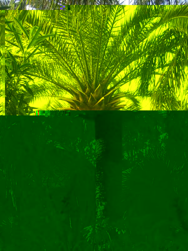 PHAINIX c 1.JPG PHAINIX c 1.JPG