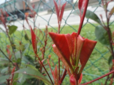 DSC02390.JPG (158.95 KiB) Osservato 783 volte DSC02390.JPG