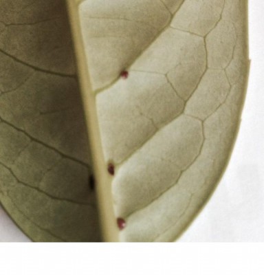 Immagine3.jpg (32.4 KiB) Osservato 695 volte Immagine3.jpg