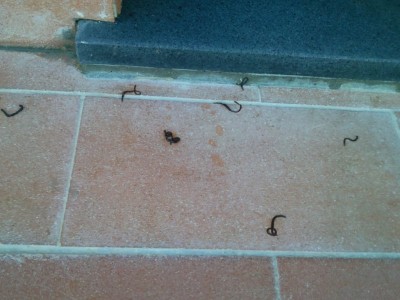 SNC01955.jpg (125.35 KiB) Osservato 792 volte SNC01955.jpg